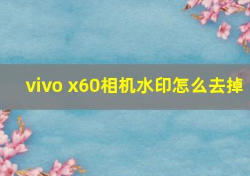 vivo x60相机水印怎么去掉